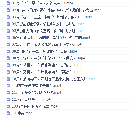 张策短视频导演养成记